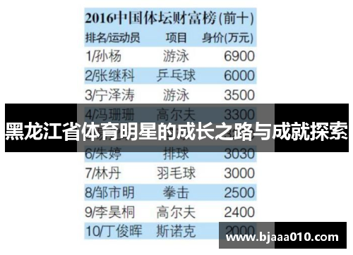 黑龙江省体育明星的成长之路与成就探索